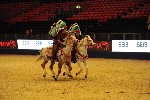 Quadrille - 00363